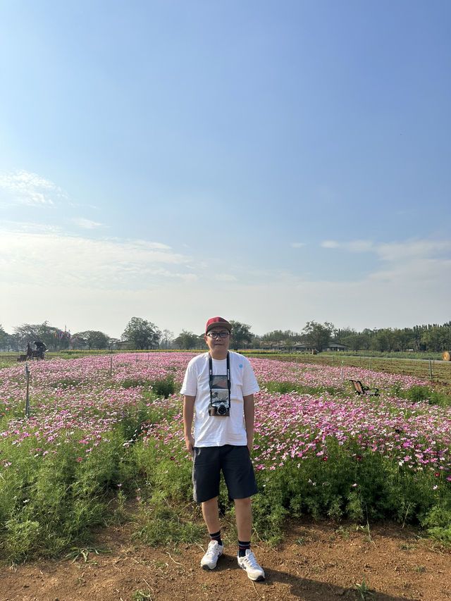 2 Days in Khao Yai: Wine, Flowers & Hidden Gems – My Private Tour Experience from Bangkok 🍷🌻