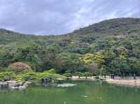 Peace & Pines at Ritsurin Garden