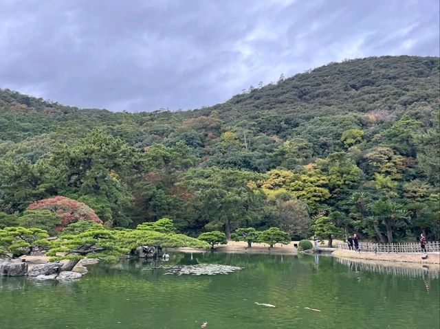 Peace & Pines at Ritsurin Garden