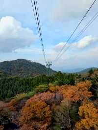 🚠乘纜車，穿越日本神戶六甲山的綠意時光