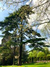 Caversham Court