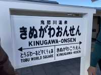 日帰りで楽しむ日光・鬼怒川の旅