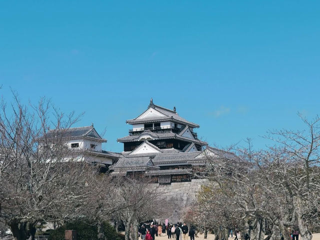 【松山城】天空の城で歴史ロマンに浸る旅🏯✨