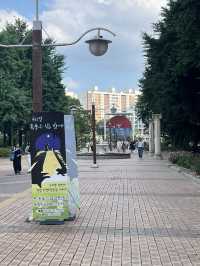 장미 광장의 여름