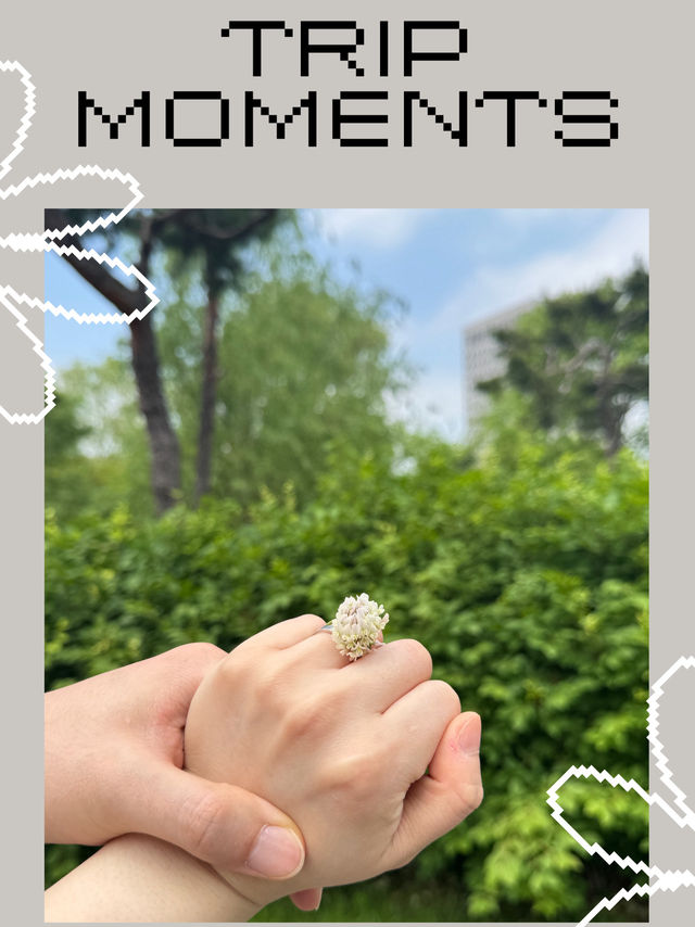 🌞대전 로컬감성 한스푼, 한적한 도시 산책