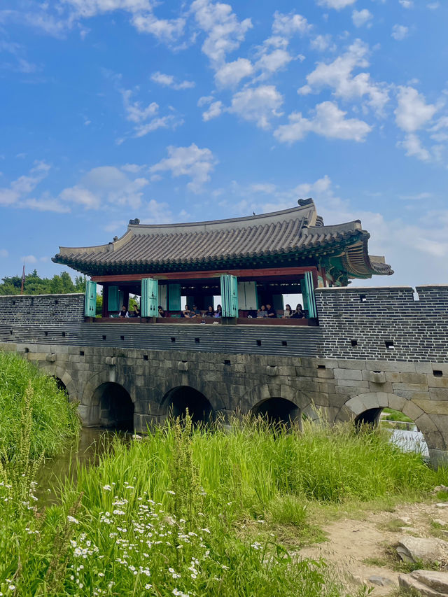 초록한 여름에 가기 좋은 수원 화홍문 🥐☀️🌻