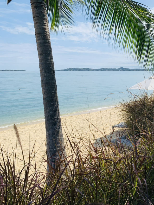 หาดบ่อผุด สมุย น้ำใส สงบ สวยเกินต้าน