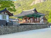 부안 당일치기 여행지로 딱인 내소사 🌳