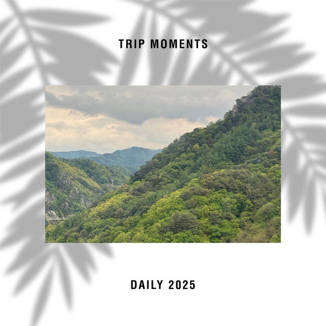 “춘천의 숨은 보석, 삼악산 등반기⛰️ 케이블카 타고 걷는 힐링 코스!”
