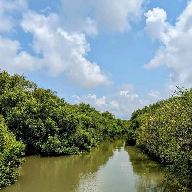 Sundarbans – Where the Forest Breathes with the Tides 🌿🐅