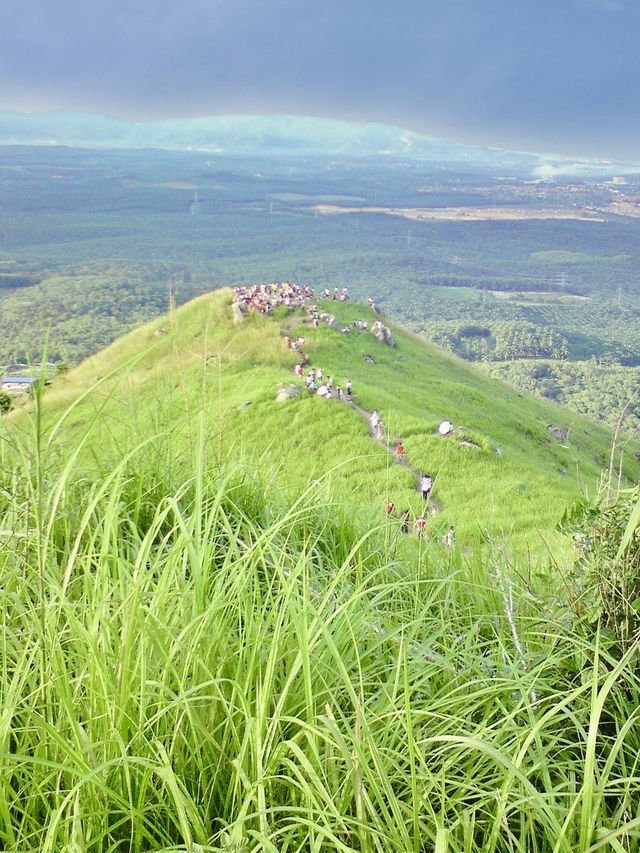 Nature’s Reset: Reconnecting with Simplicity at Broga Hill