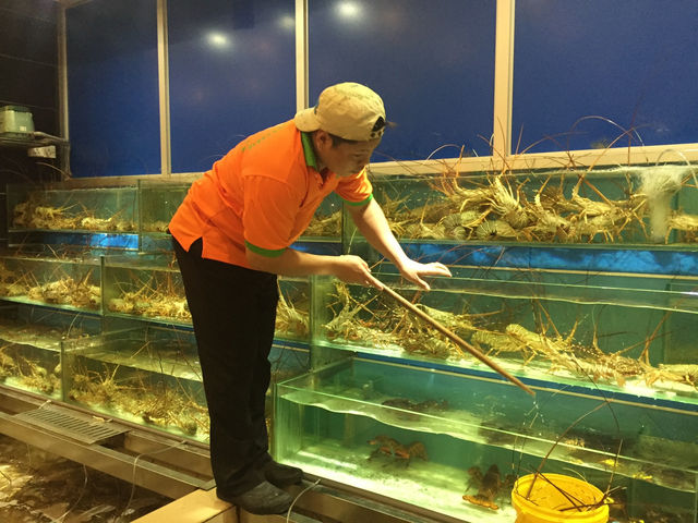 🦞 Seafood Feast by the Sea at Jade Garden Seafood Corner