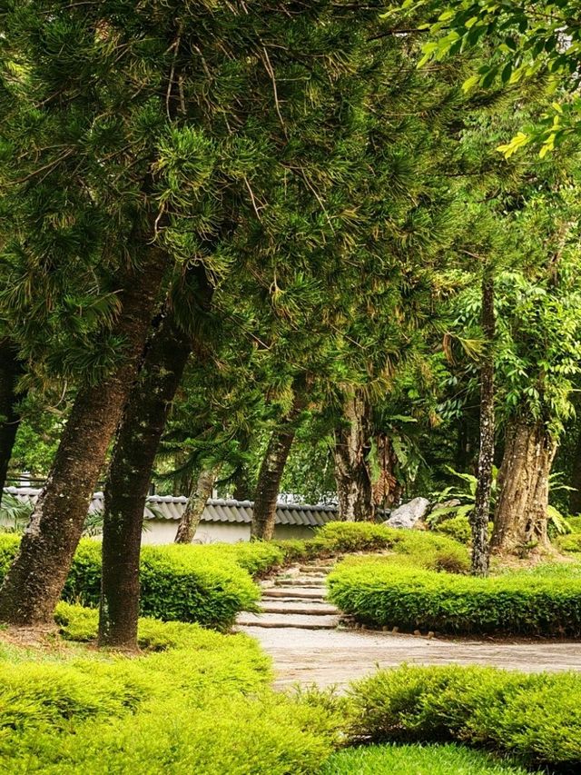 Taman Jepun Ipoh – A Hidden Japanese-Inspired Gem in the City