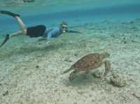 Conservation and stunning views at Gili T
