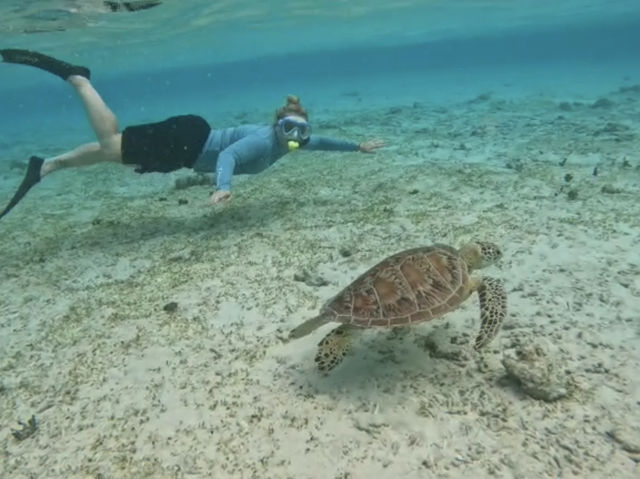 Conservation and stunning views at Gili T