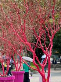Boramae Park, Seoul – A Peaceful Urban Green Space