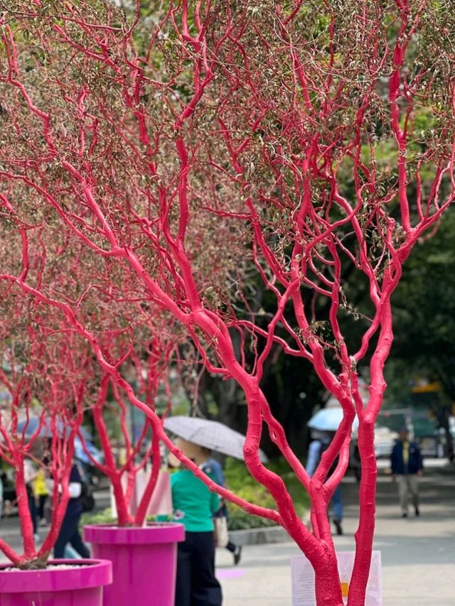 Boramae Park, Seoul – A Peaceful Urban Green Space