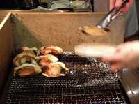🍽️ A Taste of Hokkaido’s Forest Flavors at レストラン 森の詩