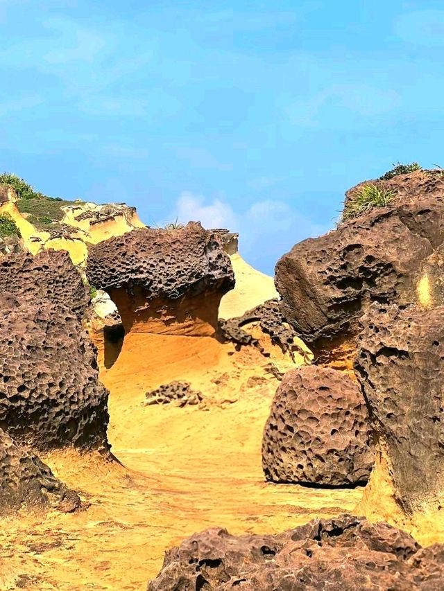 Nature’s Art at Yehliu Geological Park
