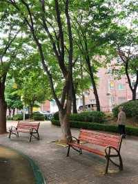 🌳잠시 휴식하기 좋은 군포 금정동 작은공원, "느티울어린이공원"🌳