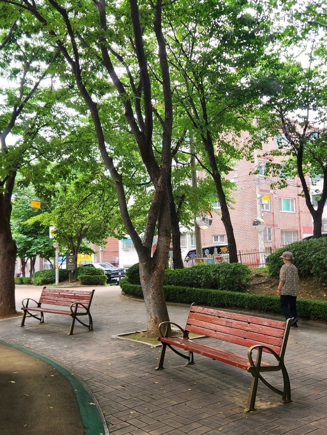 🌳잠시 휴식하기 좋은 군포 금정동 작은공원, "느티울어린이공원"🌳
