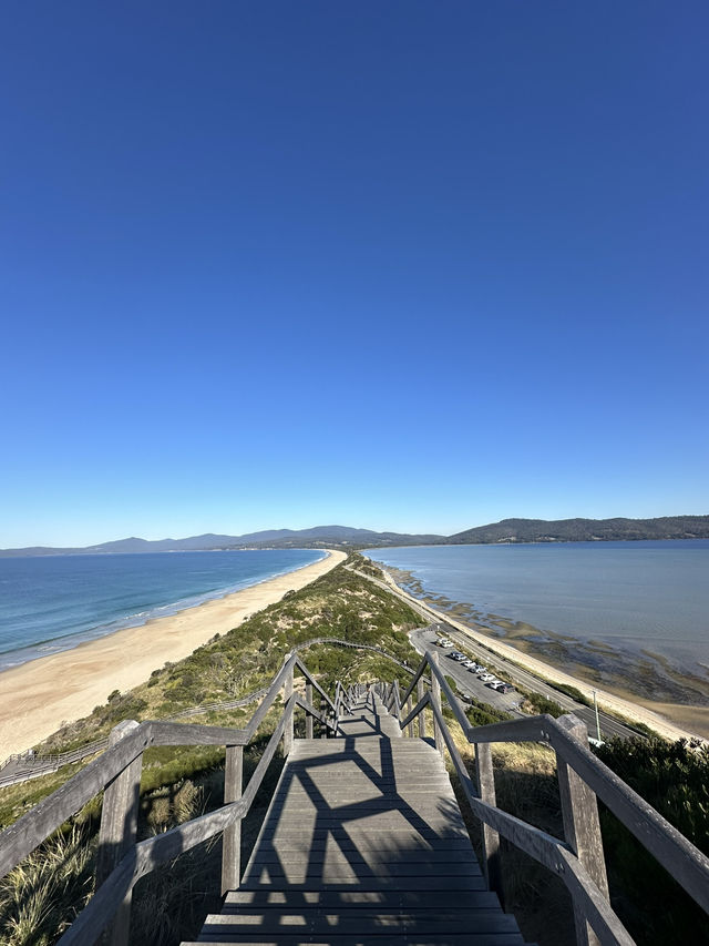 Tasmania Bruny Island 