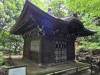 🍁東京・後楽園｜小石川後楽園｜都心のオアシスで、日本と中国の美が融合する庭園散歩🌿✨