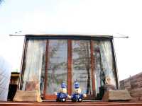 Mollusc Glamping