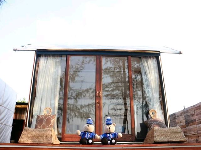 Mollusc Glamping