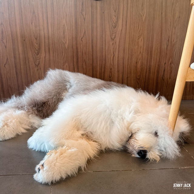 #คาเฟ่ศรีราชา #Corgandkoff #คาเฟ่ชลบุรี 