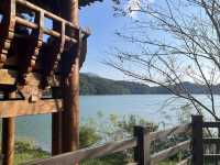 도심 속 힐링 숲길🌿 부산 회동수원지 공원 산책길