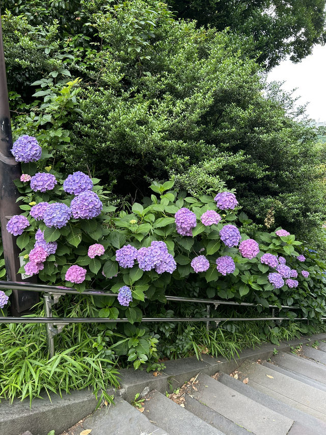 สวนอุเอโนะ (Ueno Park)