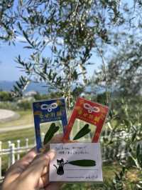 【小豆島】オリーブ🫒の緑と青空と白のコントラストが美しき！