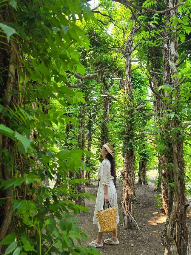 초록 싱그러움 가득한 세종 테마파크💚