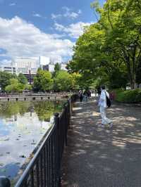 Blossoms, Culture, and Wildlife: Discover Ueno Park