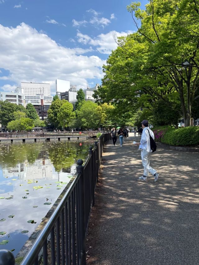 Blossoms, Culture, and Wildlife: Discover Ueno Park