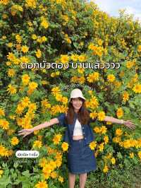 เที่ยวทุ่งบัวตอง ที่ดอยแม่อูคอ แม่ฮ่องสอน