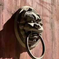 本場の少林寺を見たい人はぜひ！🇨🇳