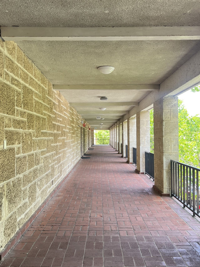 Welcome to UWA, Perth’s Most Beautiful Campus 🌿📚