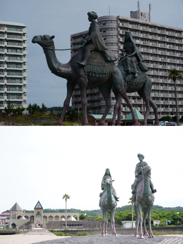 【千葉】 海岸にラクダ？ 絶景スポット