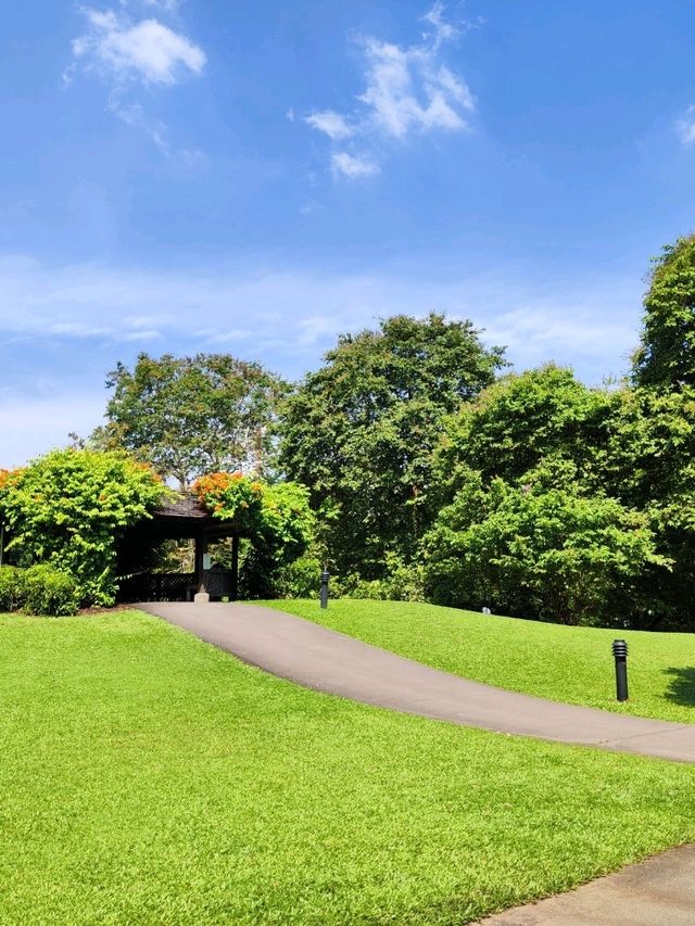 Botanic Garden in Singapore