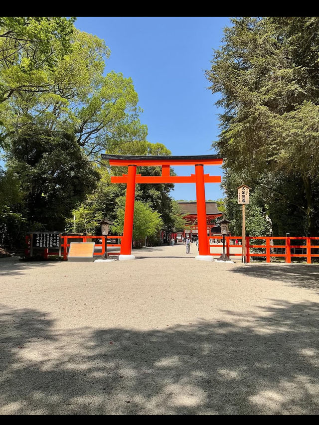 【下鴨神社】森と水に包まれる聖地🌿みたらし団子の発祥地で心清める旅