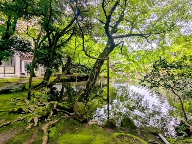 金澤 | 松風閣庭園，比兼六園還要古老的日式庭園