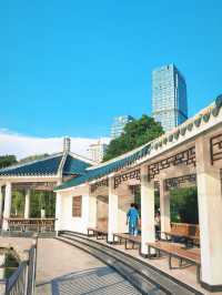 Hefei Xinghua Park’s Floating Book House | A Hidden Gem That’s Only Getting Better 📚🌸