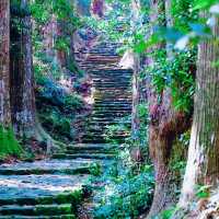 🌳熊野古道🌳　大門坂