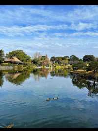【水前寺成趣園】心がすっと整う、熊本の癒し庭園🌿