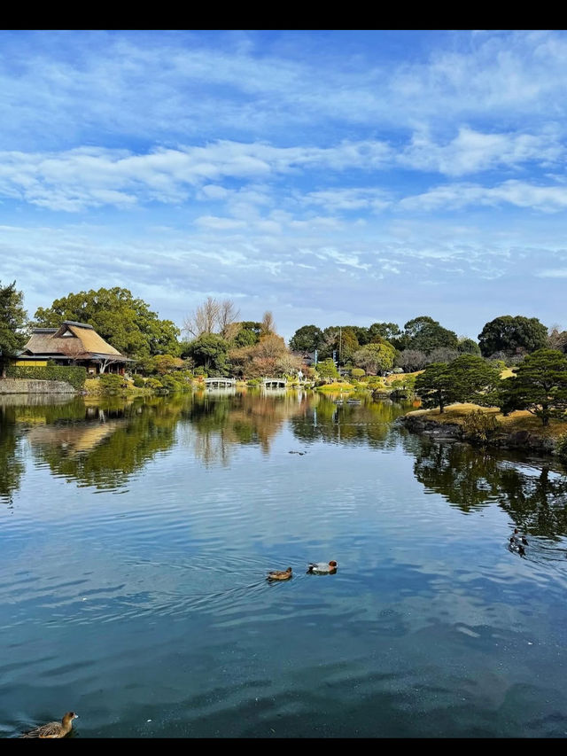 【水前寺成趣園】心がすっと整う、熊本の癒し庭園🌿