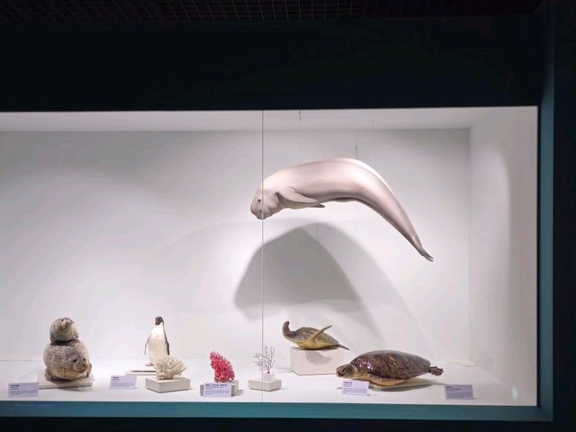 인천 바다박물관