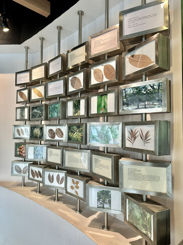 🌿Leaf Through Knowledge: Hidden Green Gem at Herbarium, Perdana Botanical Gardens