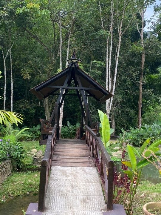 🌿 Wadi Amna, Janda Baik: A Tranquil Riverside Escape 🏡